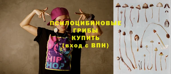 герыч Струнино