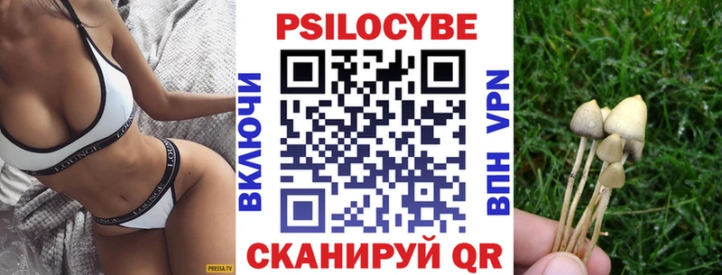 Псилоцибиновые грибы Psilocybe  Купить закладки  Новотитаровская 
